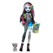 Opakowanie Monster High Frankie Stein Lalka podstawowa HXH73