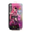 Opakowanie Monster High. Lalka z akcesoriami HKY71