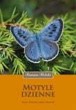 Motyle dzienne. Autor: Sielezniew Marcin, Izabela Sielezniew. Dadada.pl Okładka książki Motyle dzienne
