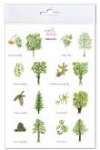 Opakowanie Naklejki Drzewa 2