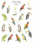 Opakowanie Naklejki Papugi