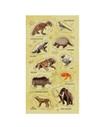 Opakowanie Naklejki Zwierzęta wymarłe gatunki