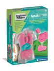 Opakowanie Naukowa Zabawa. Anatomia