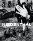 Niedenthal. Autor: Chris Niedenthal, Katarzyna Puchalska, Anna Brzez. Dadada.pl Okładka książki Niedenthal