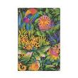 Opakowanie Notatnik Jungle Song Mini linia