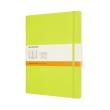 Opakowanie Notes Classic XL 19x25 linia 192str BR lemon green