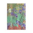Opakowanie Notes Van Gogh’s Irises Midi linia