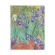 Opakowanie Notes Van Gogh’s Irises Ultra linia