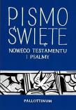 Nowy Testament i Psalmy BR. Autor:   Praca zbiorowa. Dadada.pl Okładka książki Nowy Testament i Psalmy BR