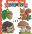 Obrazki dla maluchów - Las. Autor: Beaumont Emilie, Nathalie Belineau. Dadada.pl Okładka książki Obrazki dla maluchów - Las