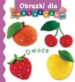 Obrazki dla maluchów - Owoce. Autor: Beaumont Emilie, Nathalie Belineau. Dadada.pl Okładka książki Obrazki dla maluchów - Owoce