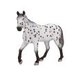 Opakowanie Ogier Appaloosa ANIMAL PLANET