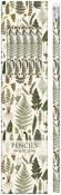 Opakowanie Ołówki ozdobne STPEN04 paprotki 6 sztuk