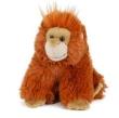 Opakowanie Orangutan 13cm