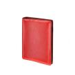 Opakowanie Organizer 2025 premium czerwony 13x19cm ORS-07-38B