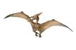 Okładka książki Papo Pteranodon (55006)