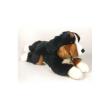 Opakowanie Pies berneński 42cm
