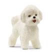 Opakowanie Pies Bichon Frise