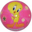 Opakowanie Piłka licencyjna 23cm Tweety