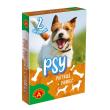 Piotruś Pamięć - psy ALEX. Wydawca: Alexander. Dadada.pl Opakowanie Piotruś Pamięć - psy ALEX