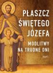 Płaszcz Świętego Józefa. Autor: Stramare Tarcisio, GIUSEPPE BRIOSCHI. Dadada.pl Okładka książki Płaszcz Świętego Józefa