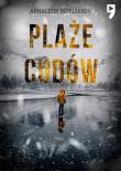 Plaże cudów. Komisarz Erlendur Sveinsson. Tom 11. Autor: Arnaldur Indri?ason. Dadada.pl Okładka książki Plaże cudów. Komisarz Erlendur Sveinsson. Tom 11