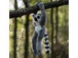Opakowanie Pluszowy lemur na rzepy