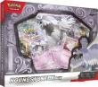 Opakowanie Pokemon TCG Houndstone Ex Box