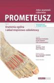 Prometeusz Atlas anatomii człowieka Tom 1. Autor: Schunke Michael, Schulte Erik, Schumacher Udo. Dadada.pl Okładka książki Prometeusz Atlas anatomii człowieka Tom 1