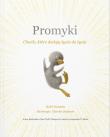 Promyki. Autor: Yamada Kobi. Dadada.pl Okładka książki Promyki