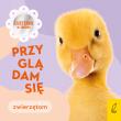 Przyglądam się zwierzętom. Autor: Paszkiewicz Anna. Dadada.pl Okładka książki Przyglądam się zwierzętom