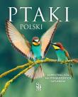 Ptaki Polski. Autor: Marchowski Dominik. Dadada.pl Okładka książki Ptaki Polski