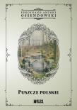 Puszcze polskie. Autor: Ossendowski Antoni Ferdynand. Dadada.pl Okładka książki Puszcze polskie