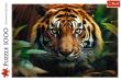 Opakowanie Puzzle 1000 Dziki Tygrys TREFL