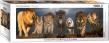 Opakowanie Puzzle 1000 Panoramic Big Cats