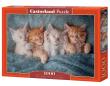 Opakowanie Puzzle 1000 The Sweetest Kittens