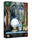 Opakowanie Puzzle 1000 Uczeń czarownicy TREFL