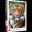 Opakowanie Puzzle 1500 Portret tygrysa 26204