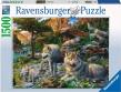 Opakowanie Puzzle 1500 Wiosenne wilki