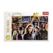 Opakowanie Puzzle 160 Harry Potter i przyjaciele TREFL