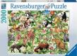 Opakowanie Puzzle 2000 Dżungla