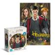 Opakowanie Puzzle 250 Harry Potter i przyjaciele