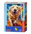 Opakowanie Puzzle 260 Euphoric Spectrum CASTOR