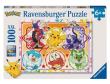 Opakowanie Puzzle 2D 100 Pokemon