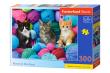 Opakowanie Puzzle 300 el. B-030477 Kittens in Yarn Store