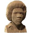 Opakowanie Puzzle 3D Jimi Hendrix Cartonic