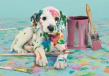Opakowanie Puzzle 500 Compact The Funny Dalmatian