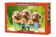 Opakowanie Puzzle 500 el. B-53605 Cute Dachshunds