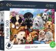 Opakowanie Puzzle 500 Lazy Doggies TREFL