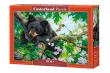 Opakowanie Puzzle 500 Wish I Could Fly CASTOR
